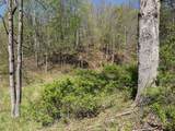  Hamilton Ridge - Photo 34
