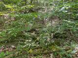  Hamilton Ridge Road - Photo 4