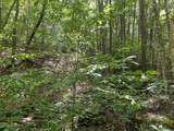  Hamilton Ridge Road - Photo 5