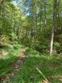  Hamilton Ridge Road - Photo 6