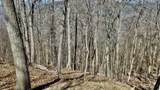 Lot #75 White Rock Trail - Photo 3