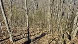 Lot #75 White Rock Trail - Photo 4
