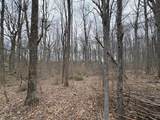 4 Lots Woodland Drive - Photo 10