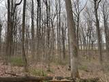4 Lots Woodland Drive - Photo 8