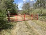 1265 Willow Bend Rd - Photo 48