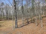 Tbd White Pine Lane - Photo 11