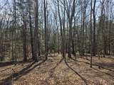 Tbd White Pine Lane - Photo 14