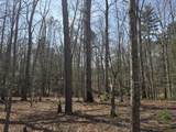 Tbd White Pine Lane - Photo 15