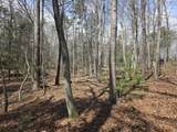 Tbd White Pine Lane - Photo 16