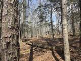 Tbd White Pine Lane - Photo 18