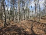 Tbd White Pine Lane - Photo 19