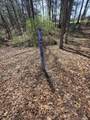 Tbd White Pine Lane - Photo 20