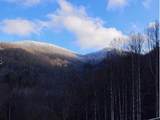 90 Brier Ridge - Photo 64