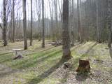 492 Riverbank Dr - Photo 38