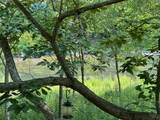 3981 Coleman Cliff Rd - Photo 49