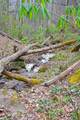  Snake Run Rd - Photo 10