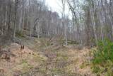  Snake Run Rd - Photo 11
