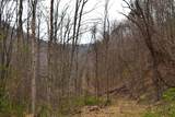  Snake Run Rd - Photo 12