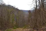  Snake Run Rd - Photo 13