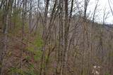  Snake Run Rd - Photo 14