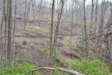  Snake Run Rd - Photo 16