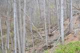  Snake Run Rd - Photo 17