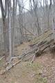  Snake Run Rd - Photo 18