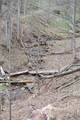 Snake Run Rd - Photo 19