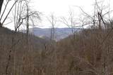  Snake Run Rd - Photo 2