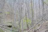  Snake Run Rd - Photo 20