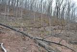  Snake Run Rd - Photo 21