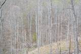  Snake Run Rd - Photo 22