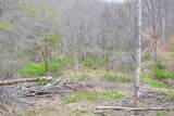  Snake Run Rd - Photo 3