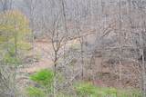  Snake Run Rd - Photo 4