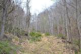  Snake Run Rd - Photo 6