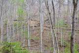  Snake Run Rd - Photo 7