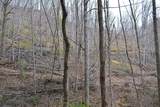  Snake Run Rd - Photo 8