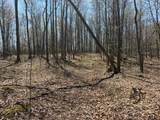  Morris Branch Road - Photo 10