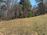  Morris Branch Road - Photo 3