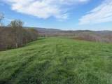 1999 Snake Run Rd - Photo 17