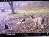 360 Rainbow Ln - Photo 4