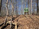 6346 Keeney Mountain Rd - Photo 53