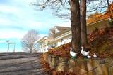 6613 Back Valley Rd - Photo 12