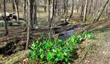 6613 Back Valley Rd - Photo 15