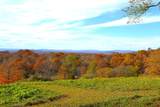 6613 Back Valley Rd - Photo 23