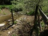 Friars Hill Rd - Photo 18