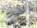  Friars Hill Rd - Photo 24