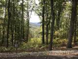  Lot 161 Cottage Row - Photo 4