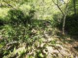 345 Panther Run Rd - Photo 10