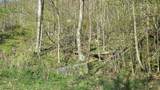 Lot 36 Hideaway - Photo 13